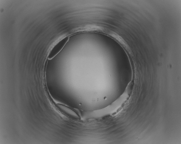 X0000073420850200608251548