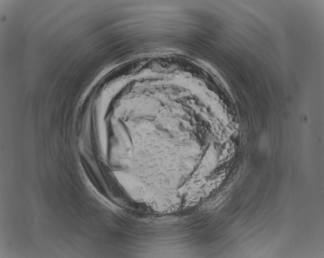 X0000073420851200608251548