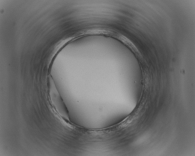 X0000073420852200608251548