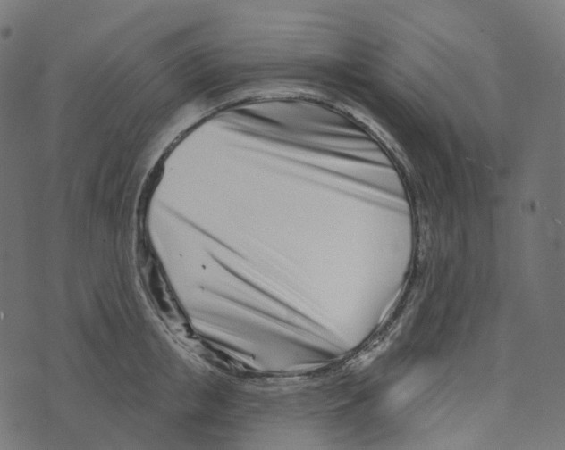 X0000073420853200608251548