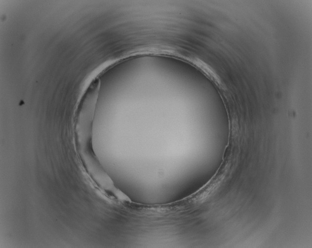 X0000073420854200608251548