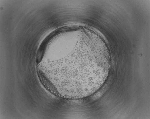 X0000073420855200608251548