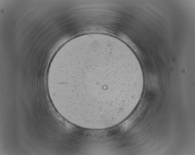 X0000073420856200608251548