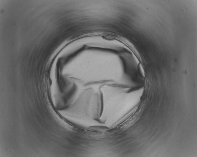 X0000073420859200608251548