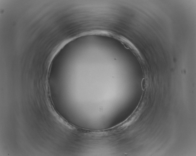 X0000073420860200608251548