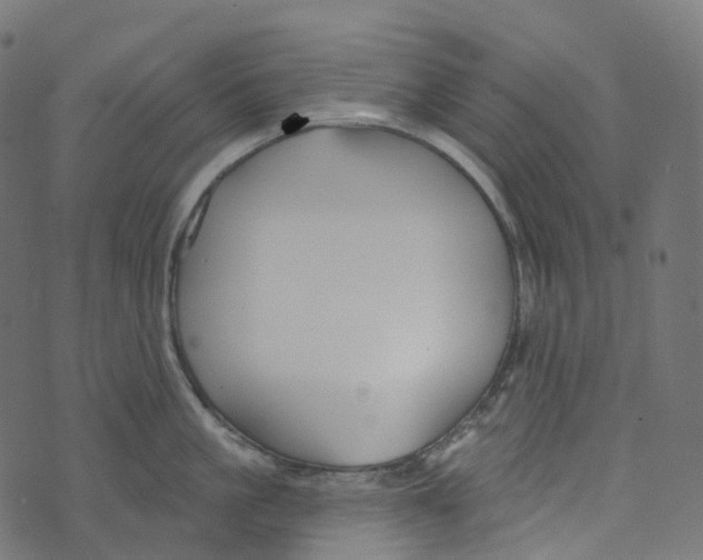 X0000073420861200608251548