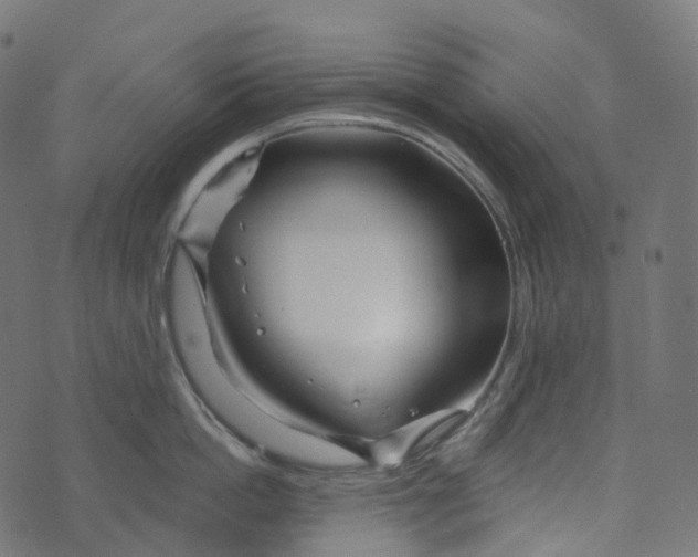 X0000073420862200608251548