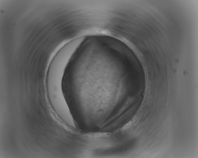 X0000073420864200608251548