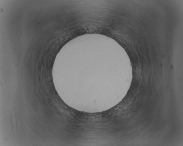 X0000073420865200608251547