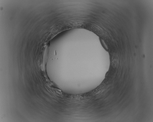 X0000073420866200608251547