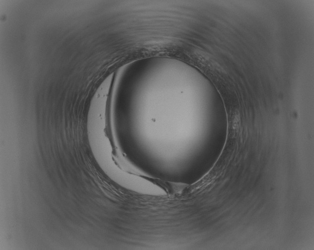 X0000073420868200608251547