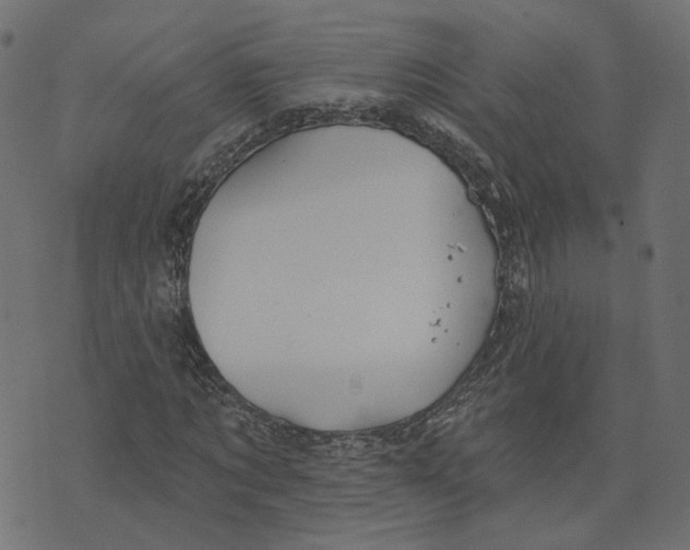 X0000073420869200608251547