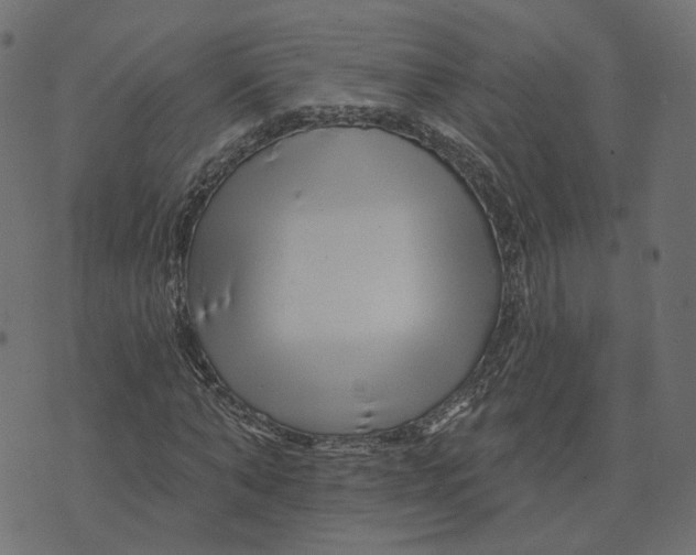 X0000073420870200608251547