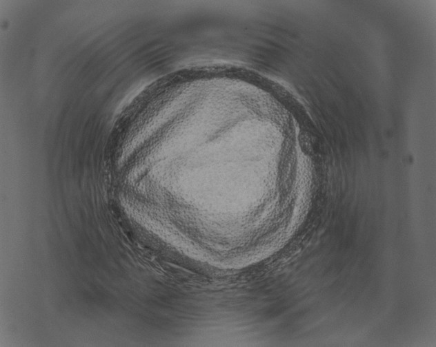 X0000073420871200608251547