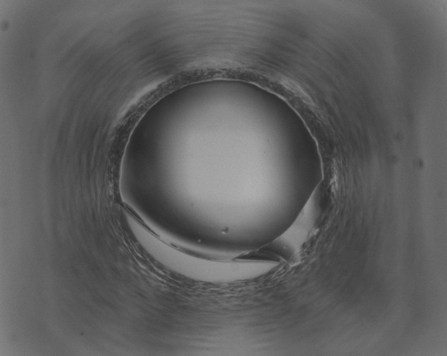 X0000073420872200608251547