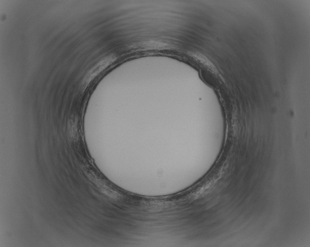 X0000073420873200608251547