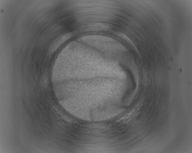 X0000073420874200608251547