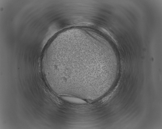 X0000073420875200608251547