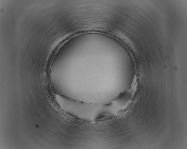 X0000073420876200608251547