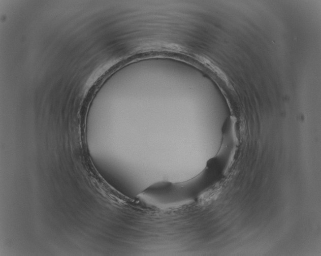 X0000073420877200608251547