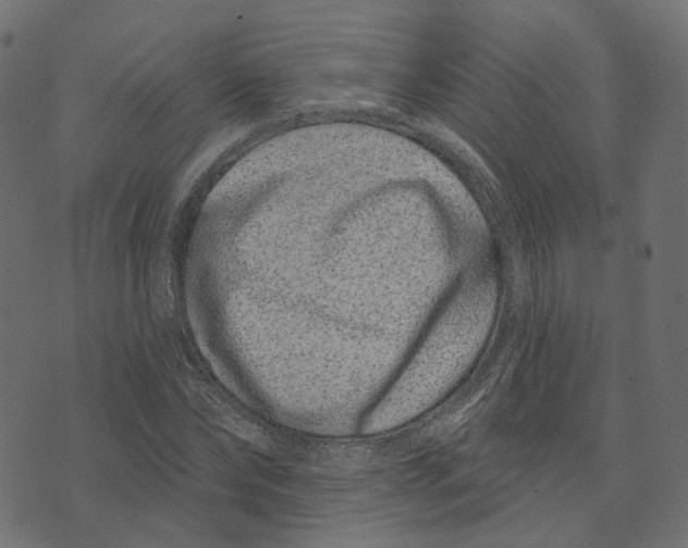 X0000073420878200608251547