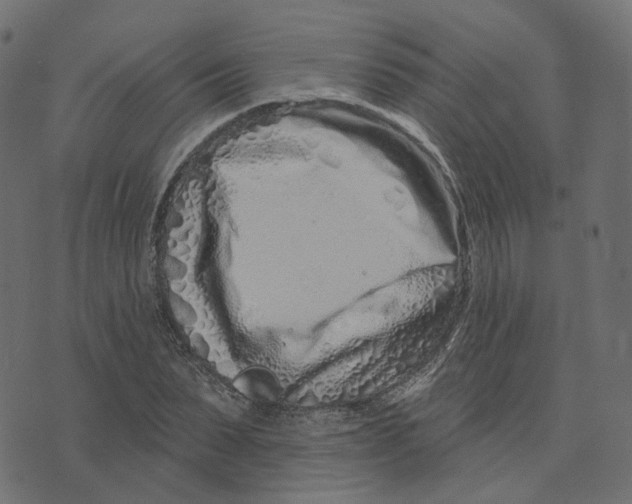 X0000073420879200608251547