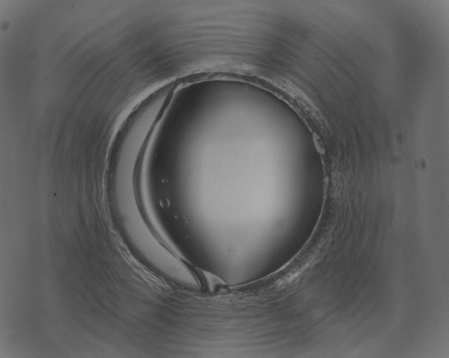 X0000073420880200608251547