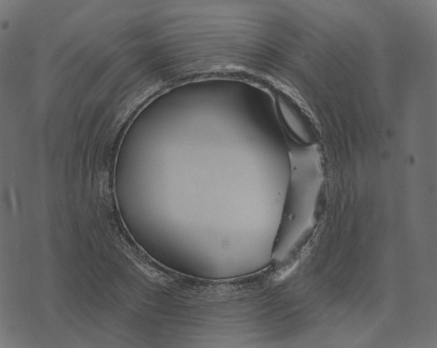 X0000073420881200608251547