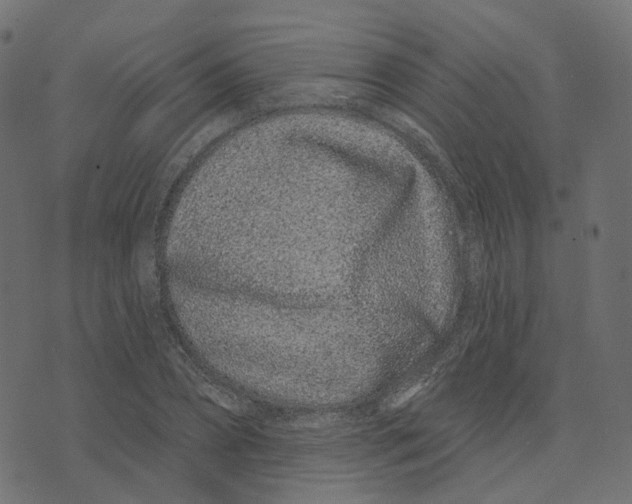 X0000073420882200608251547