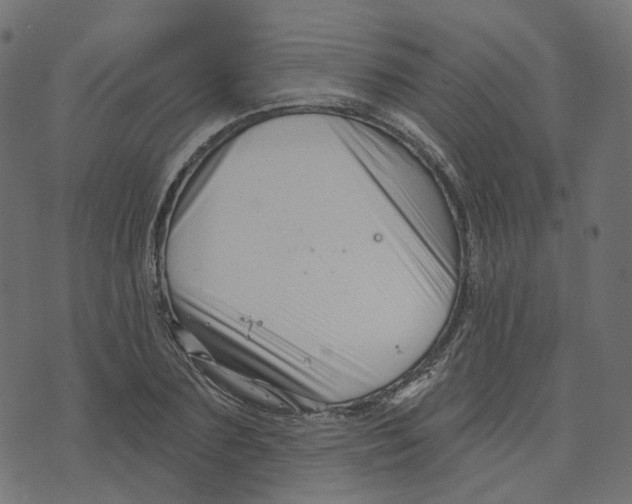 X0000073420883200608251547