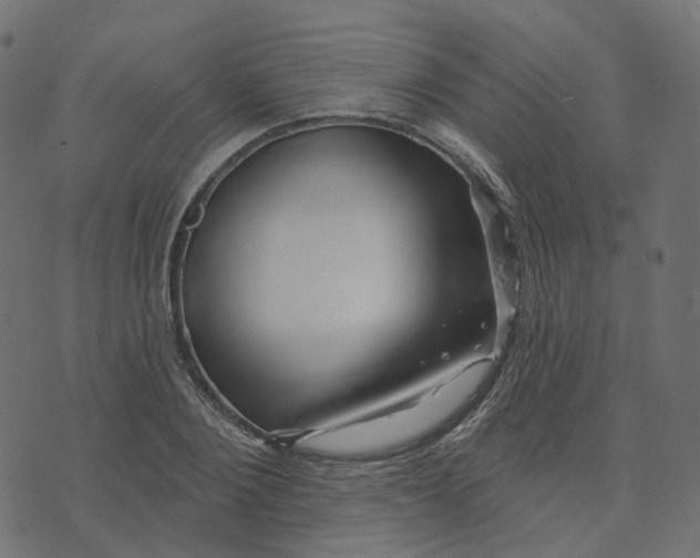 X0000073420884200608251547