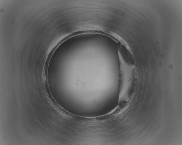 X0000073420885200608251547