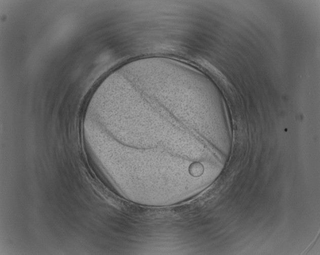 X0000073420886200608251547