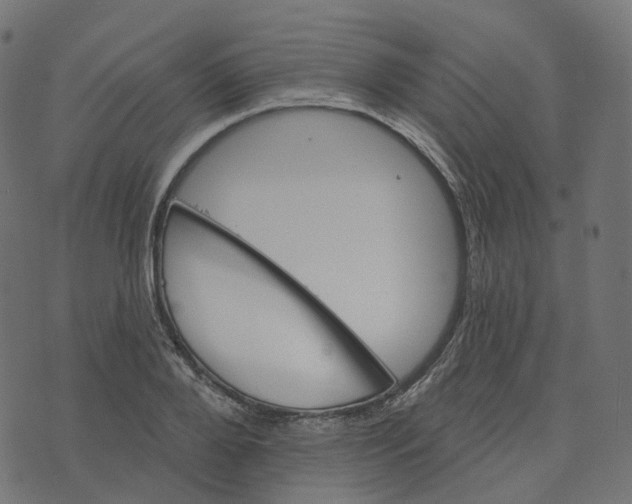 X0000073420888200608251547