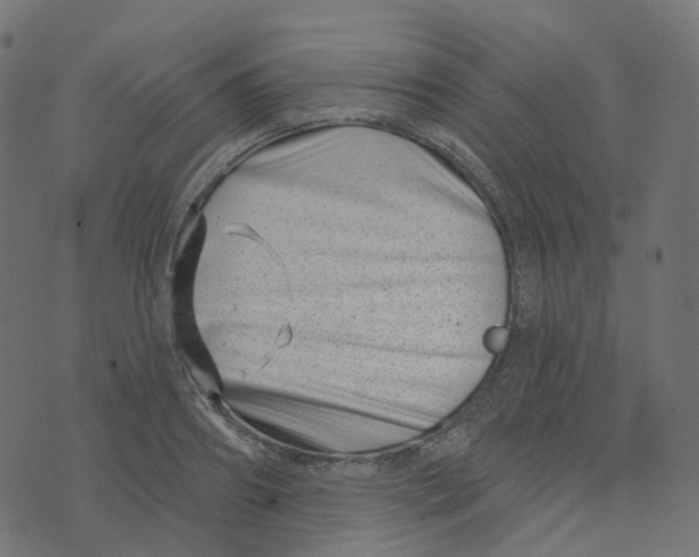 X0000073420890200608251547