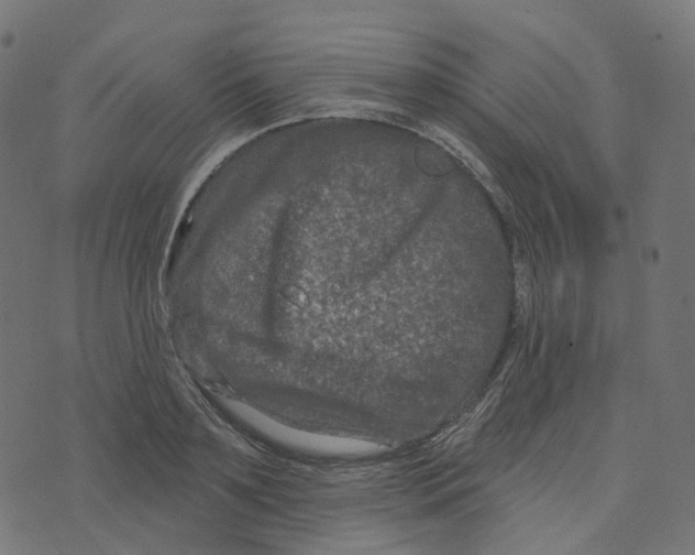 X0000073420891200608251547