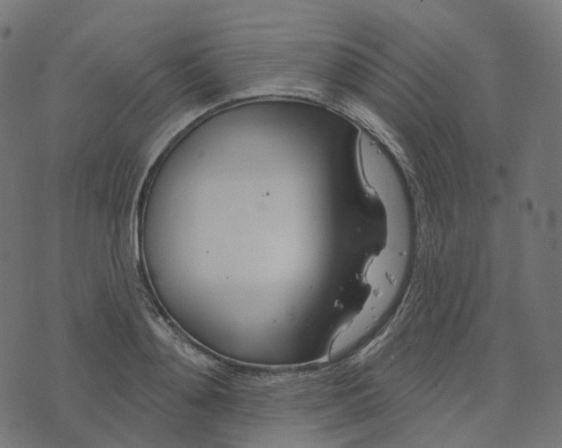 X0000073420892200608251547