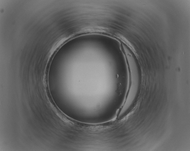 X0000073420893200608251547