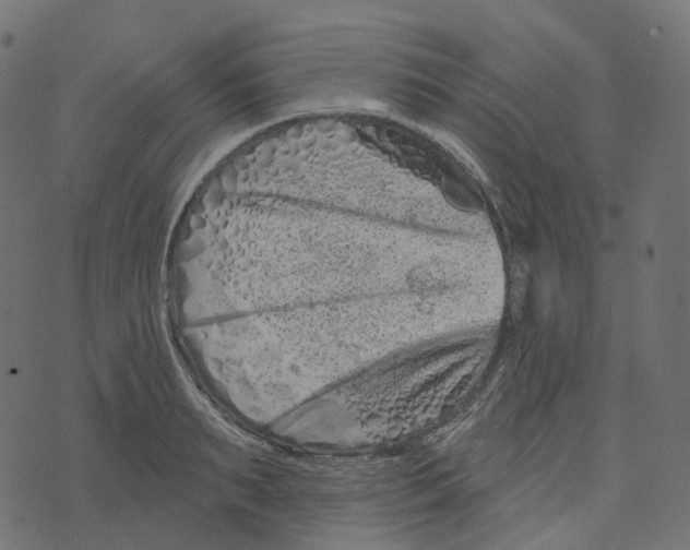 X0000073420895200608251547