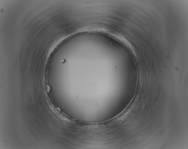 X0000073420896200608251547