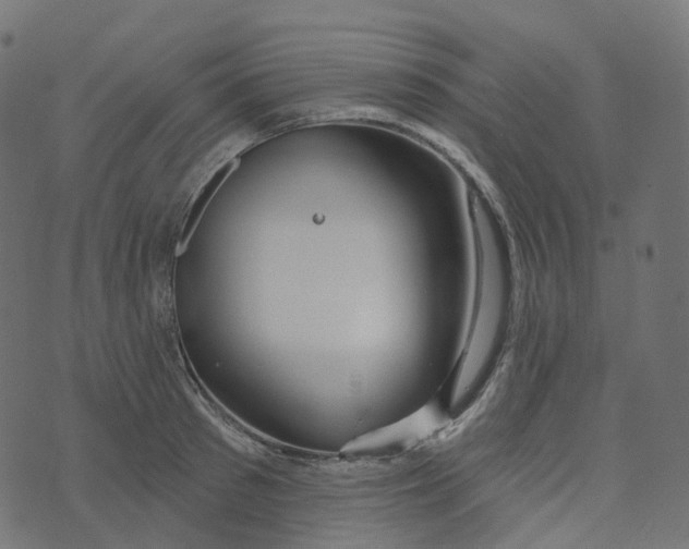 X0000073420897200608251547