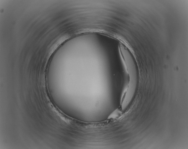 X0000073420898200608251547