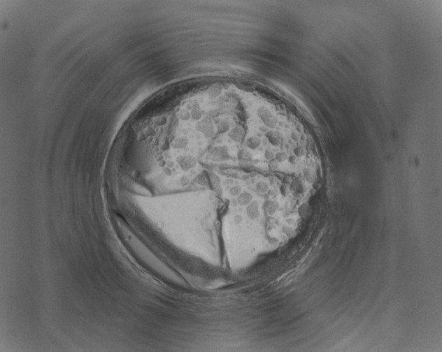 X0000073420899200608251547