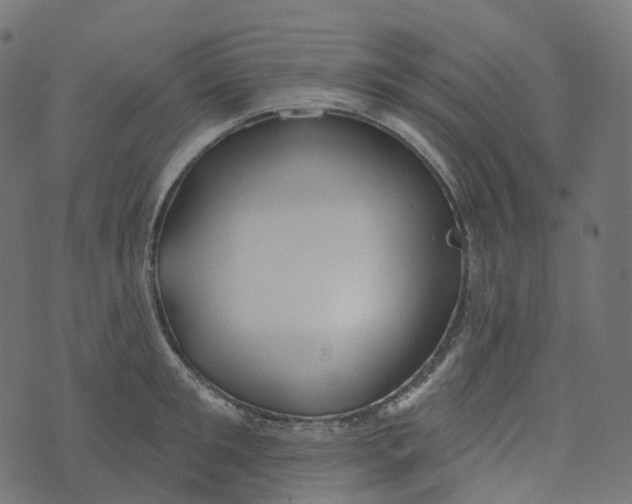 X0000073420901200608251547