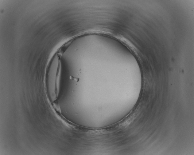 X0000073420902200608251547