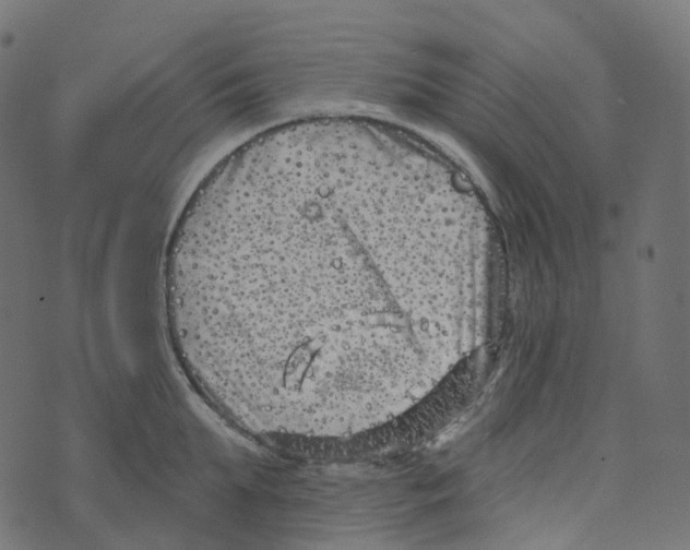 X0000073420903200608251547