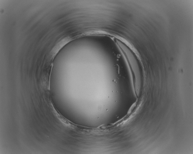 X0000073420905200608251547