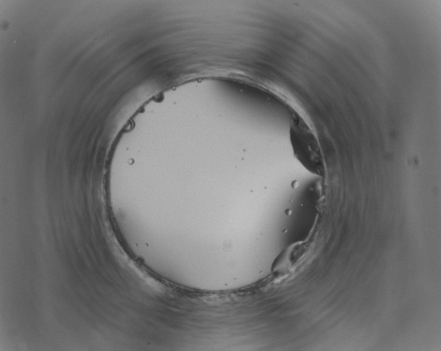 X0000073420906200608251547