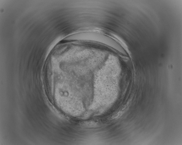 X0000073420907200608251547