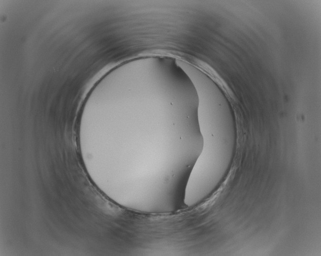 X0000073420908200608251547